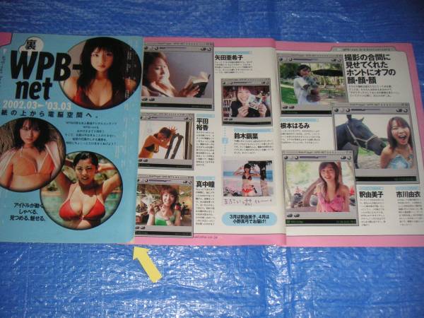 0139切り抜き◆仲根かすみ小倉優子吉岡美穂伊東美咲MEGUMI白石美帆若槻千夏松金洋子根本はるみ市川由衣釈由美子… 裏WPB-net　2003年 7P_3