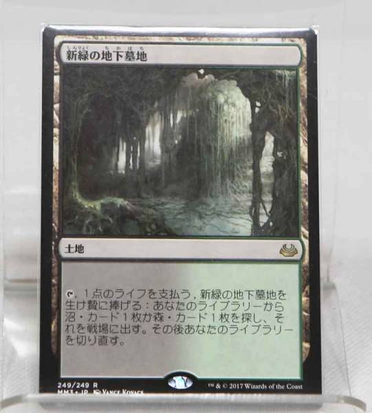 MTG 新緑の地下墓地 土地R Catacombs》[MH2-BF] | 公式通販 Catacombs