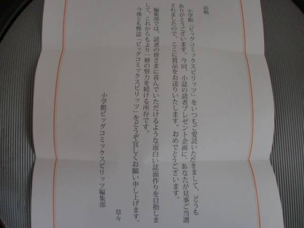 当選通知書つき 山田杏奈 直筆サイン 【筧美和子 ビッグコミック 