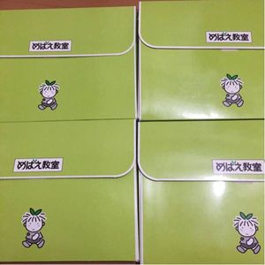 めばえのYahoo!オークション(旧ヤフオク!)の相場・価格を見る｜Yahoo