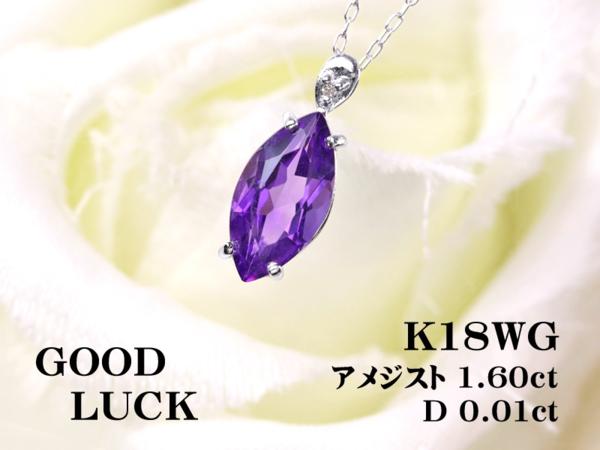 e253842019.1