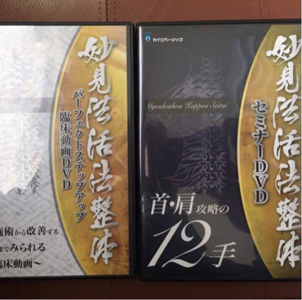 妙見法活法整体DVD 首肩攻略 西海晃斗 整体カイロDVD