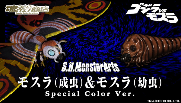s516229088.2