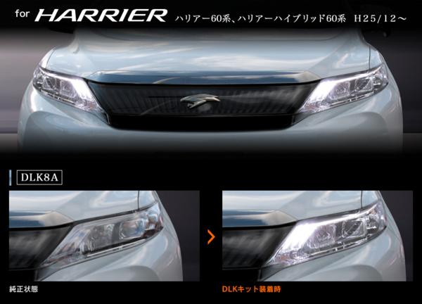 FONT> <BR><BR> <CENTER><img loading=