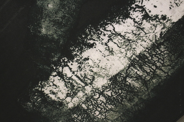 l395011656.3