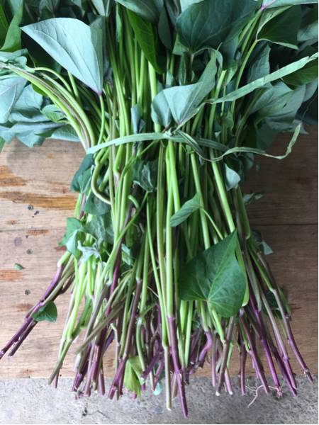 紅はるか 苗 200本 さつまいも 茨城県ひたちなか産 野菜 200本4月上旬