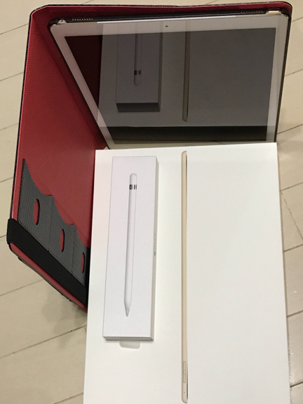 ○ 早い者勝ち！SIMフリー 12.9 iPad Pro 128GB Apple Pencil & ケース