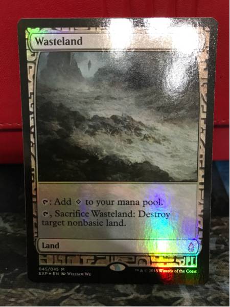 不毛の大地 EXP foil 1枚 Foil《不毛の大地⁄Wasteland》[EXP] 土地R