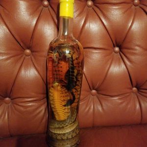 コブラ 酒のYahoo!オークション(旧ヤフオク!)の相場・価格を見る