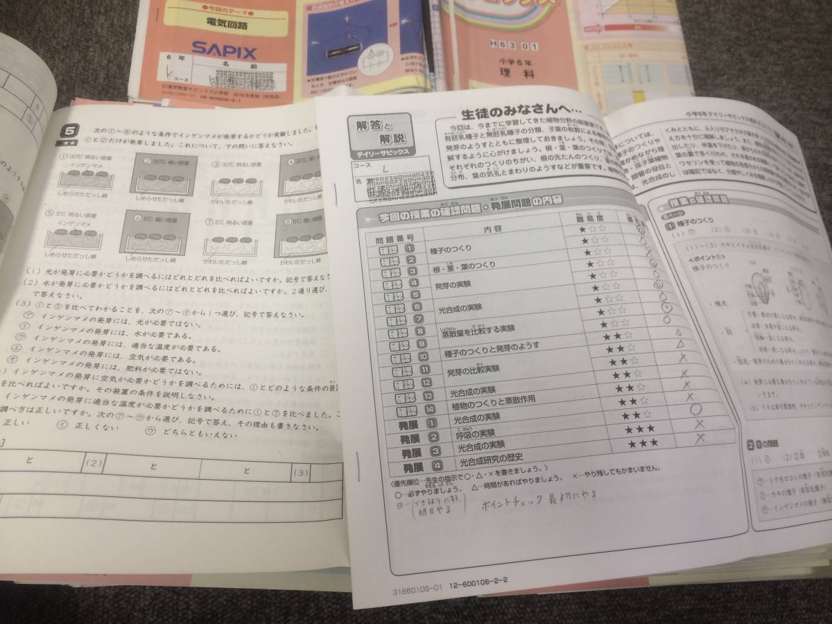 本 サピックス 5年生 国語 最新全テキスト デイリーサピックス 解答解説