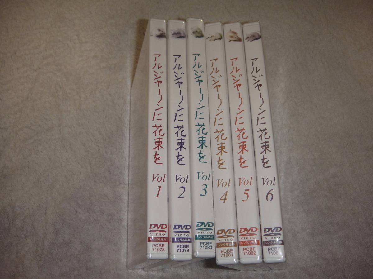 アルジャーノンに花束を ユースケ・サンタマリア : DVD 全6巻 レンタル 