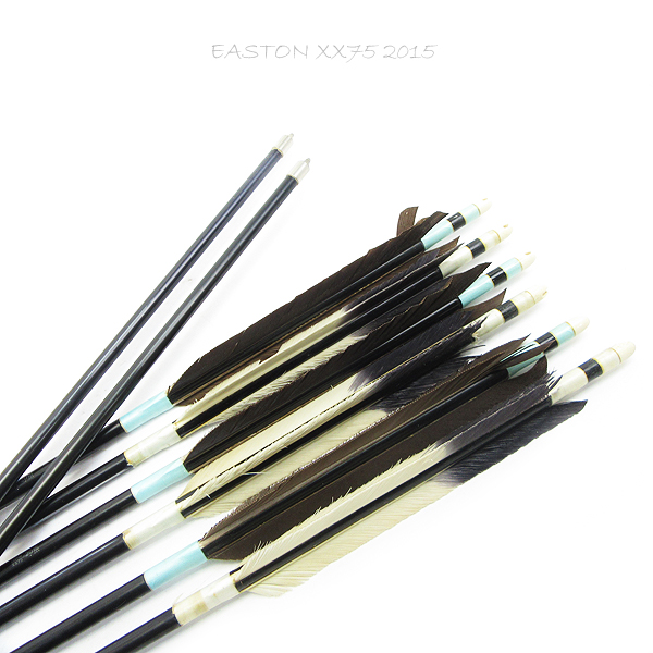 札幌発 弓道 EASTON イーストン XX75 2015 弓矢 8本セット 矢筒付 北μTK