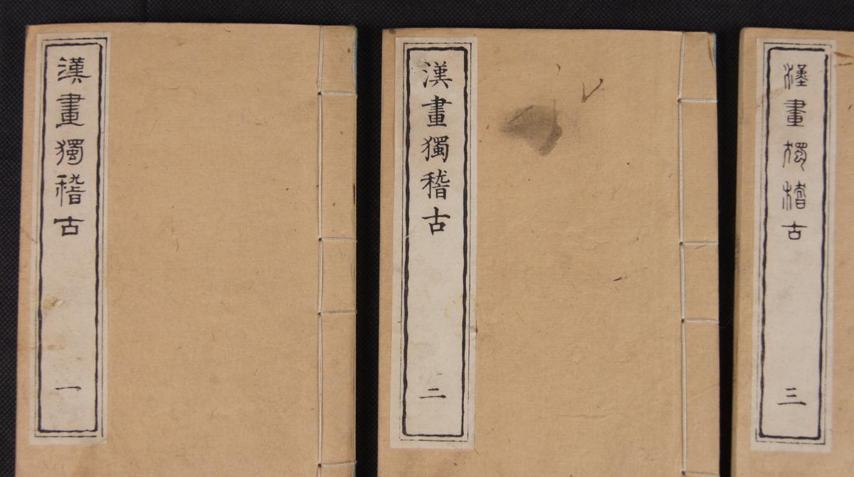 L45 古書 漢画独稽古 唐本 中国画法書 6冊 明治14年 和本 古文書
