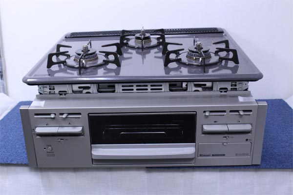t499060207.1