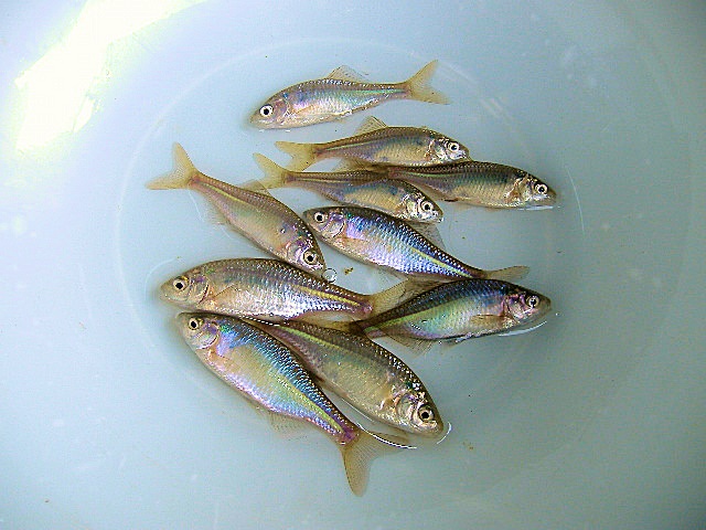 p586905821