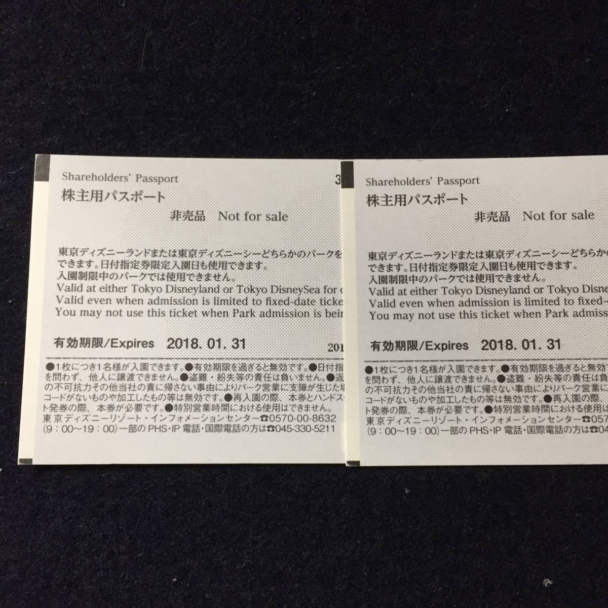 東京ディズニーリゾート株主用パスポート2枚セット(2018年1月31日まで)