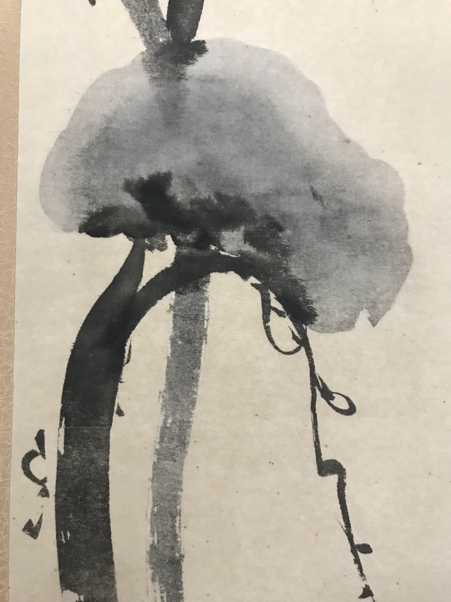 尾形光琳「老松之圖」紙本 工藝 水墨画 タトウ 合箱 絵画 掛軸 江戸前