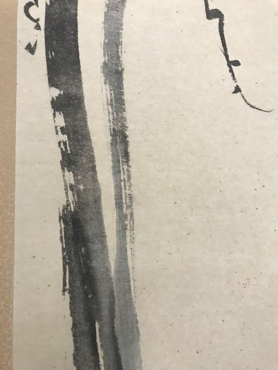 尾形光琳「老松之圖」紙本 工藝 水墨画 タトウ 合箱 絵画 掛軸 江戸前