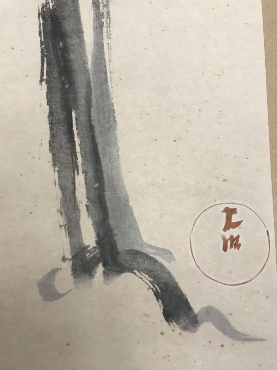 尾形光琳「老松之圖」紙本 工藝 水墨画 タトウ 合箱 絵画 掛軸 江戸前