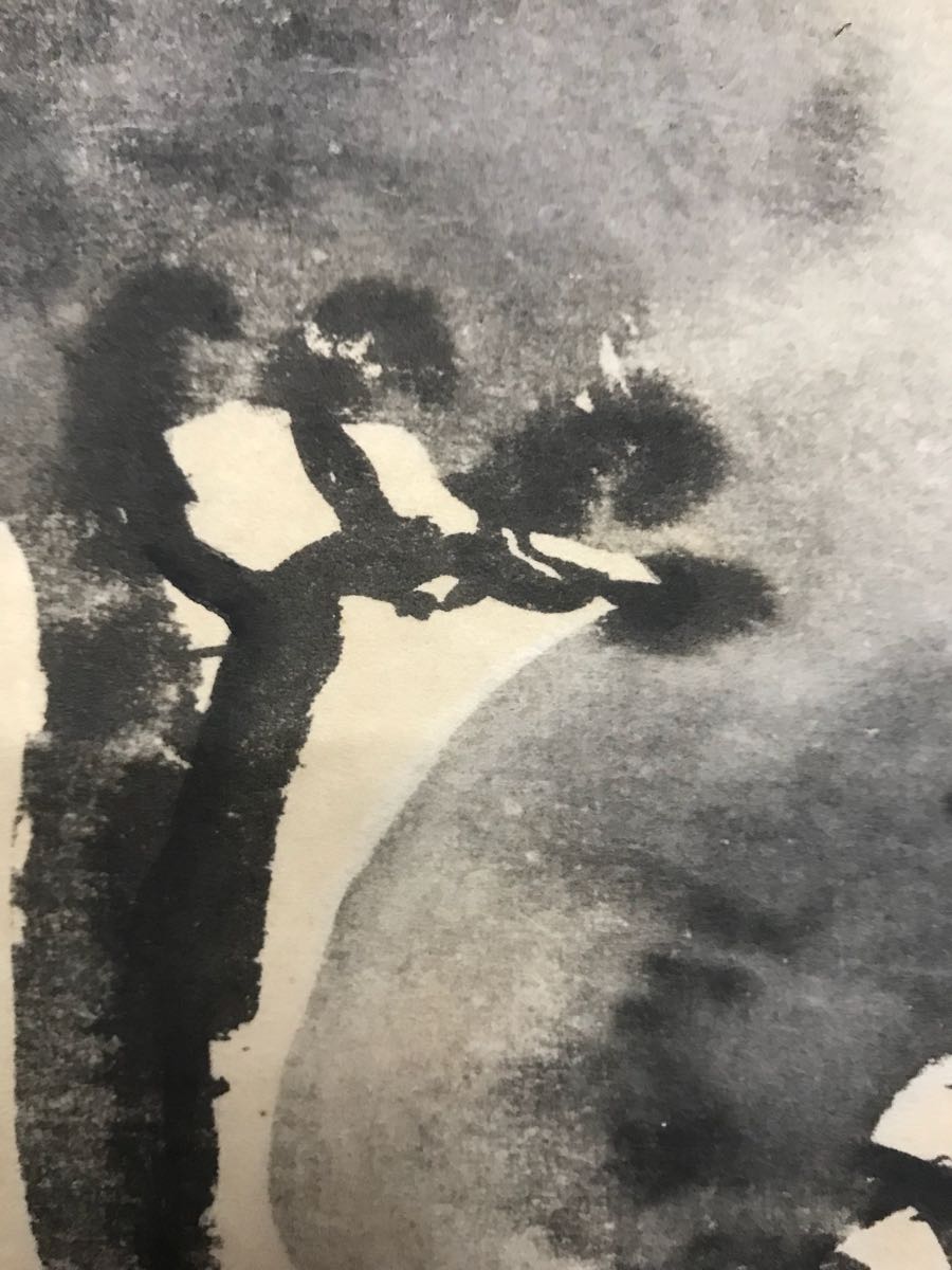 尾形光琳「老松之圖」紙本 工藝 水墨画 タトウ 合箱 絵画 掛軸 江戸前