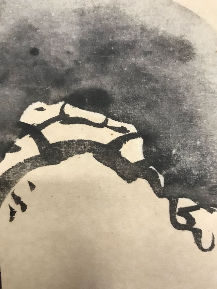 尾形光琳「老松之圖」紙本 工藝 水墨画 タトウ 合箱 絵画 掛軸 江戸前
