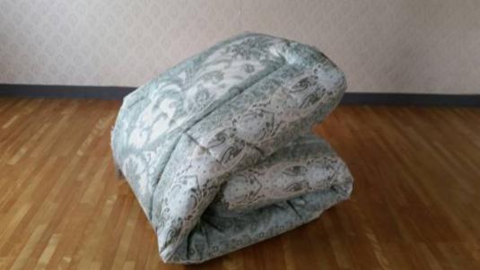 即決 訳あり オリジナル商品 ホテル仕様 丸洗い SEK 抗菌 防臭 羽毛を越えた 掛け布団 アレルギーの方にもおすすめ 清潔 安心 日本製 GR