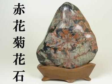 Def Leppard Various Adrenalize Live 1992-93 赤花菊花石！3.7kg 鑑賞