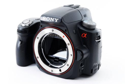 化猫 ☆極上品☆ Sony ソニー α-55 デジタル一眼レフ 100size 276253 【公式