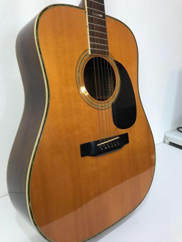 TF MORRIS W-50 モーリス アコースティックギター TFシリーズ 縦ロゴ