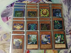 【遊戯王】サクリファイス　構築済みデッキ　ガチデッキ　即決　スリーブ付き