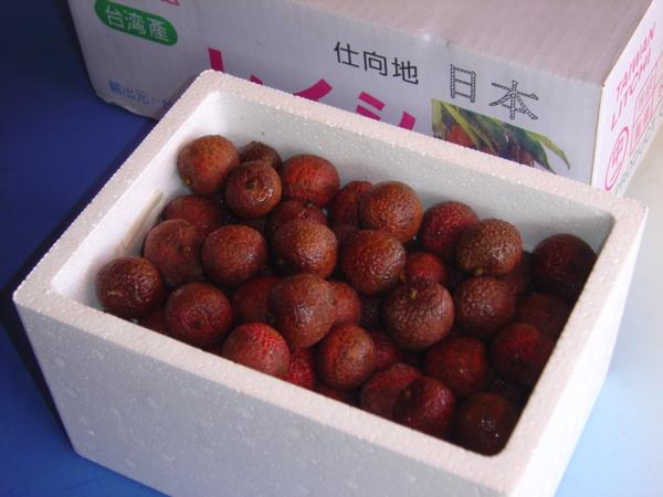 B229 伊藤東彦 布目椿文花瓶 花器 共箱 真作保証 B229伊藤東彦布目椿文