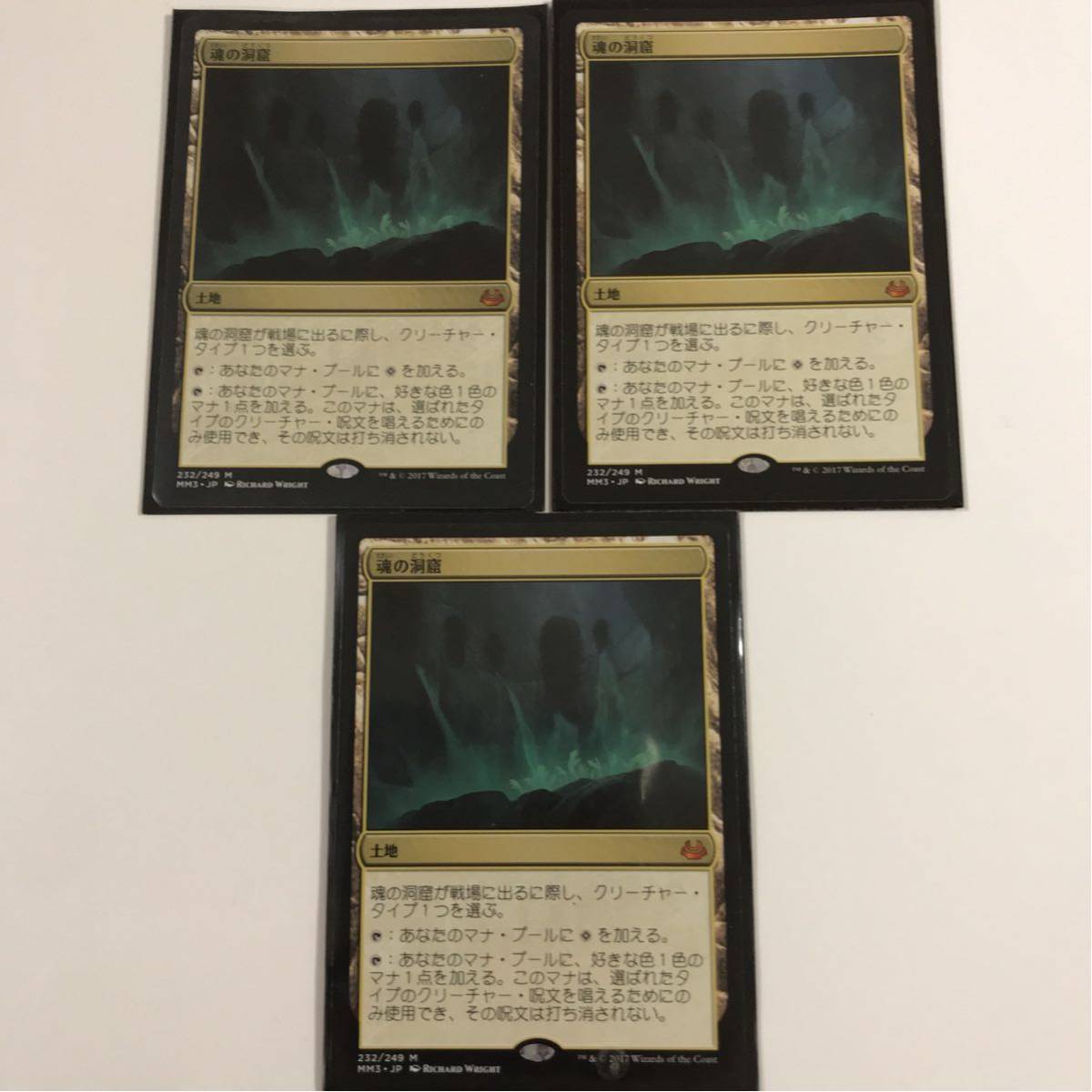 MTG 地平線の梢 日本語版 2枚まで 地平線の梢 | MTG Canopy》[IMA