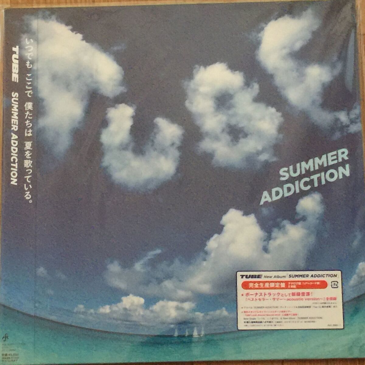 TUBE [SUMMER ADDICTION] 新品2枚組LP 【公式通販】