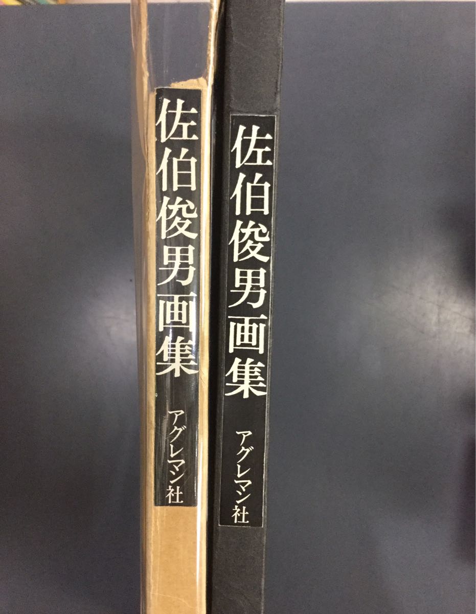 佐伯俊男 画集　アグレマン社 　函付き　Toshio Saeki アート/エンタメ 佐伯俊男 画集 / アグレマン社 / 冊子 函付き