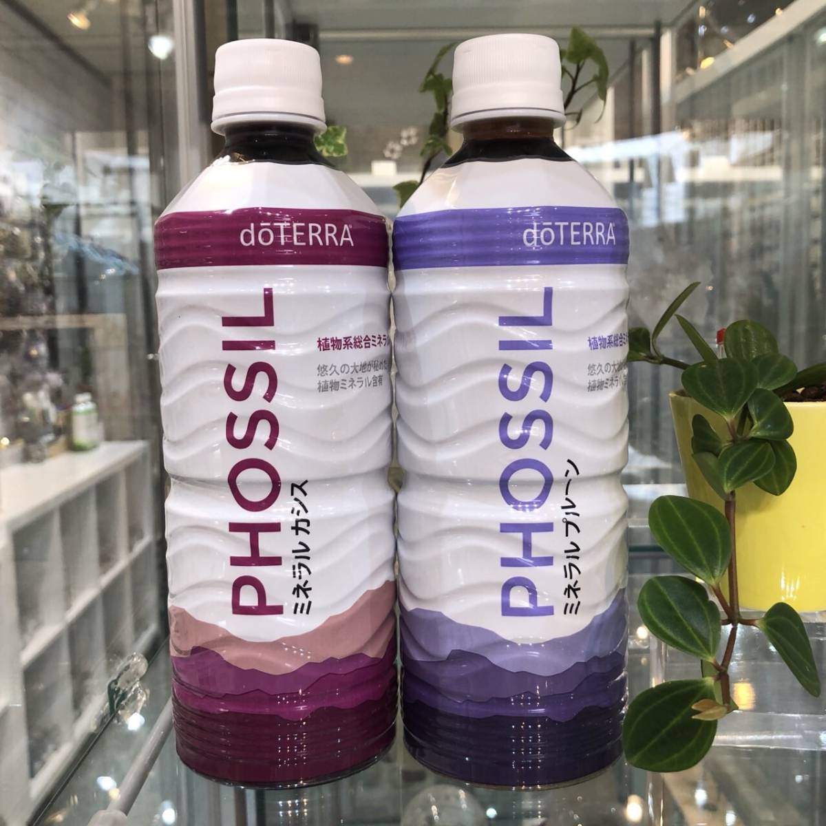 ミネラル ドテラ doTERRA カシス PHOSSIL 550ml - プルーン