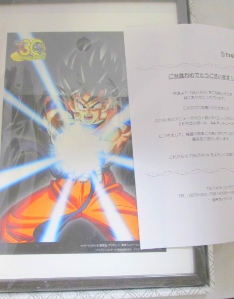 懸賞品 当選5名 ドラゴンボール30周年記念ポートレート 8/12大量 1円出品 世界5枚限定 ドラゴンボール 30周年記念記念