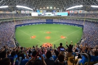 8/11(祝) 中日ドラゴンズvs東京ヤクルト 外野応援シート ペア 通路側 ブルーサマーシリーズ 2018_1