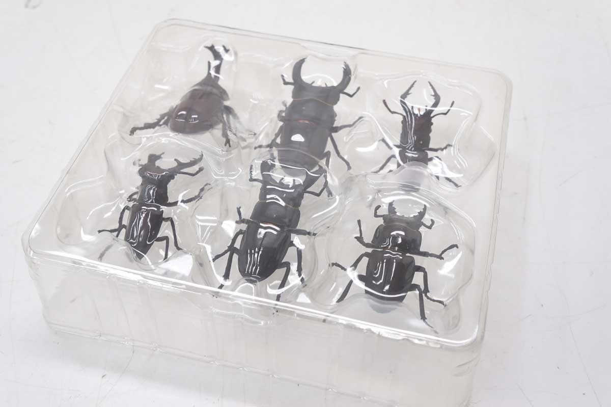 ユージン「原色昆虫類甲虫図鑑」株主優待 昆虫標本