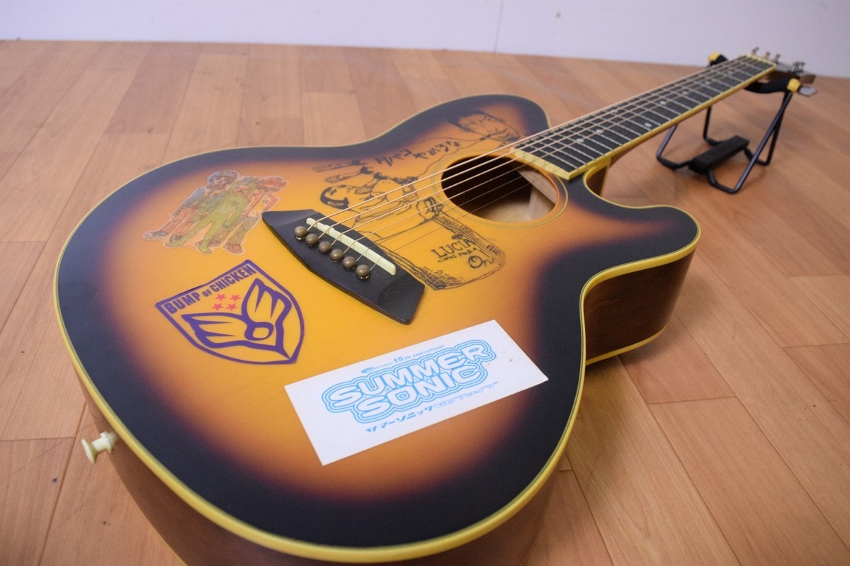 Ibanez アイバニーズ エレアコ アコースティックギター | 初心者セット 