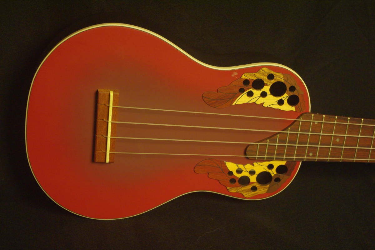 訳あり Ovation Celebrity Guitar CC57 エレアコギター ハードケース付