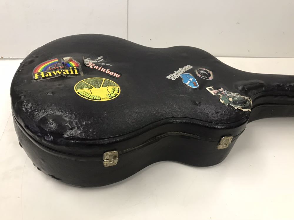 Pro Martin GW-350 GUILD風 ギター ケース付き プロマーチン G W-350