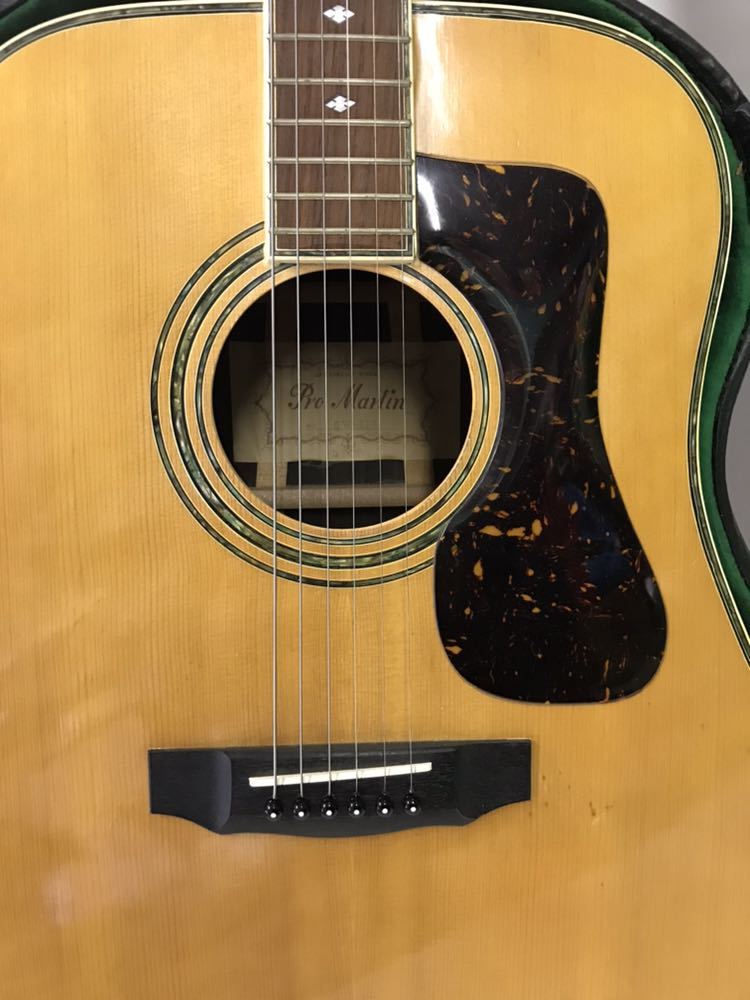Pro Martin GW-350 GUILD風 ギター ケース付き プロマーチン G W-350