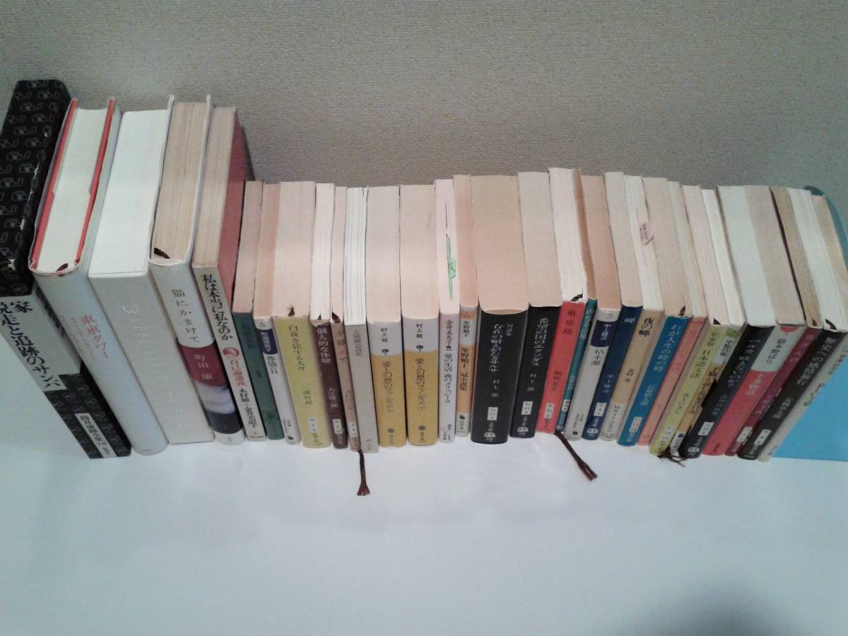 現代文学・小説３２冊セット　おまけ７冊付き　★町田康、村上龍、光瀬龍、古川日出男、桐野夏生、金井美恵子、筒井康隆、中上健次ほか_2