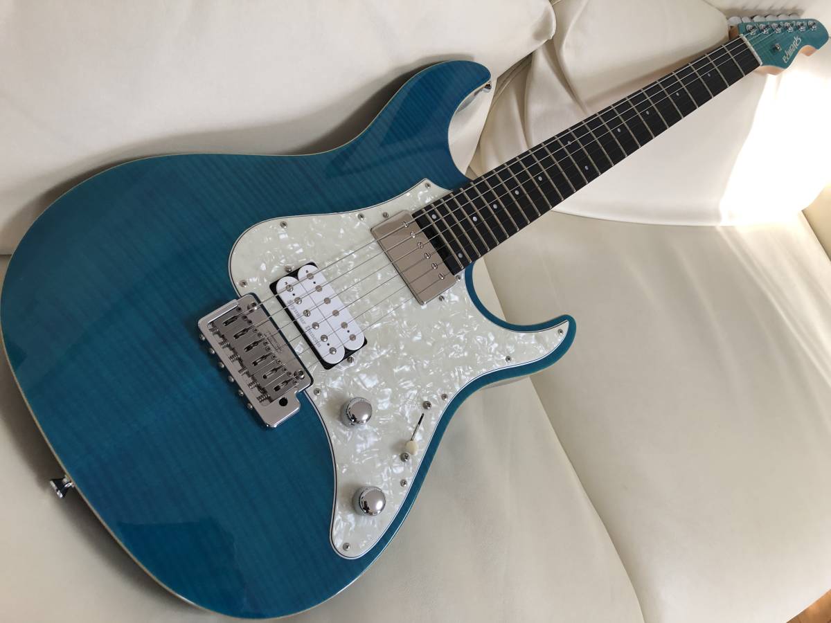 オンライン Series ESP直営BIGBOSS - E-SN(スナッパー) Edwards e 120