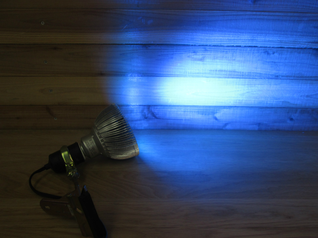 RS122 ボルクスジャパン LeDio Grassy ⁄ グラッシー・レディオ