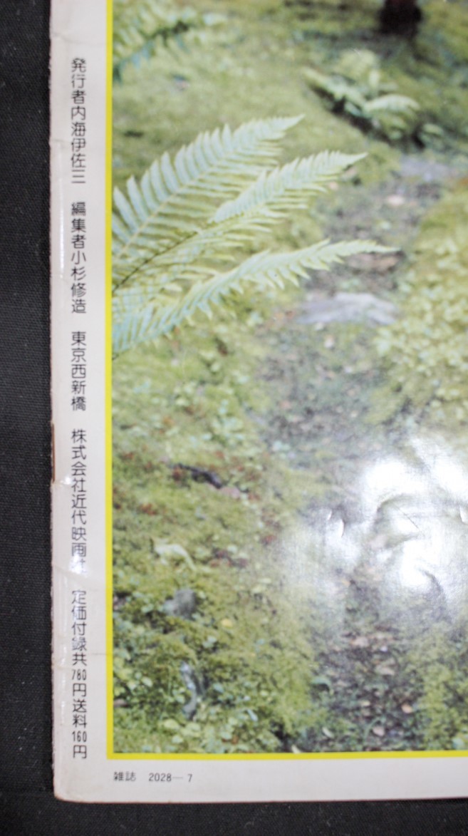 タレント【東てる美NUDE私生活】映画の友★昭和51年_5