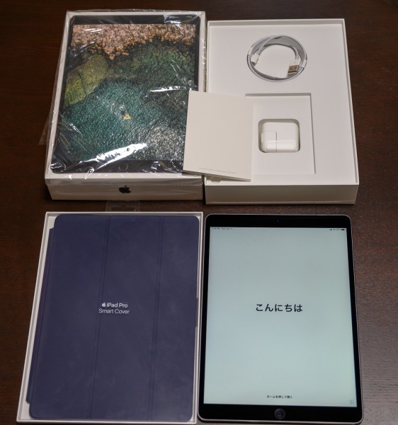 ☆中古美品☆ iPad Pro (10.5-inch) Wi-Fi + Cellular 512GB スペース