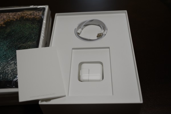 ☆中古美品☆ iPad Pro (10.5-inch) Wi-Fi + Cellular 512GB スペース