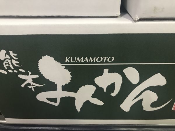 送料無料！熊本県産　家庭用　不知火　約10kg