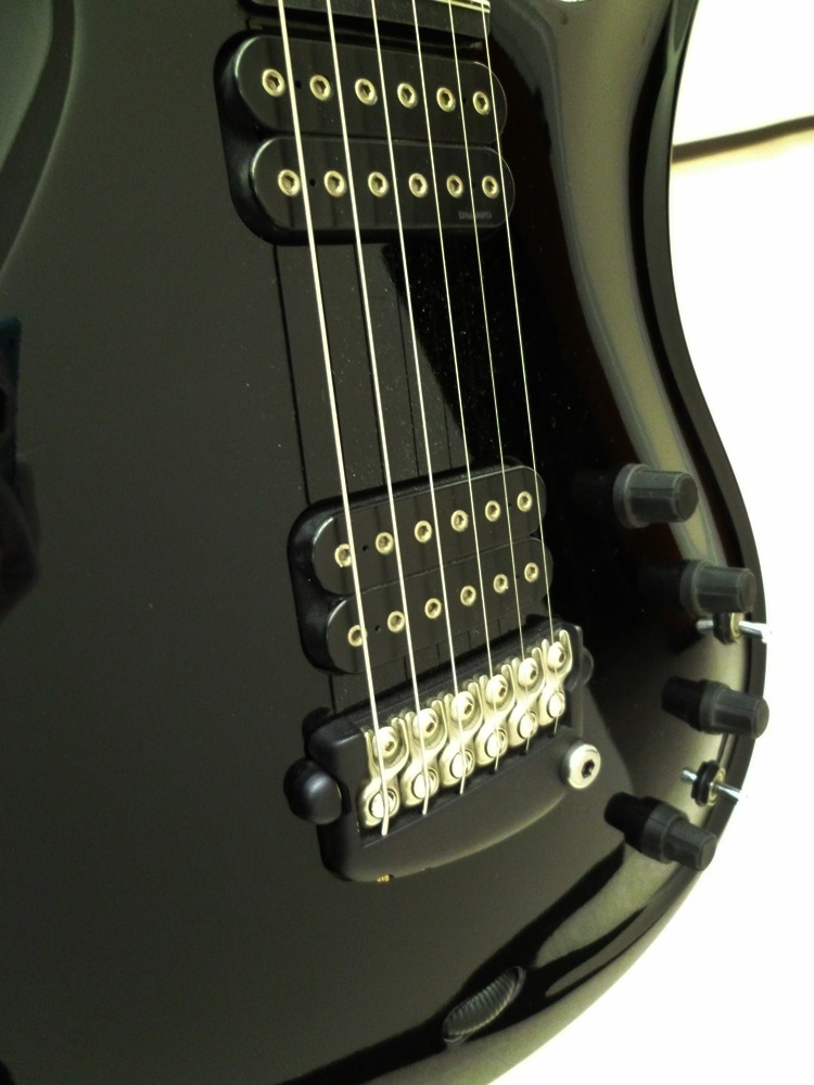 希少 エレキギター Parker パーカー FLYギター ソフトケース付き 黒